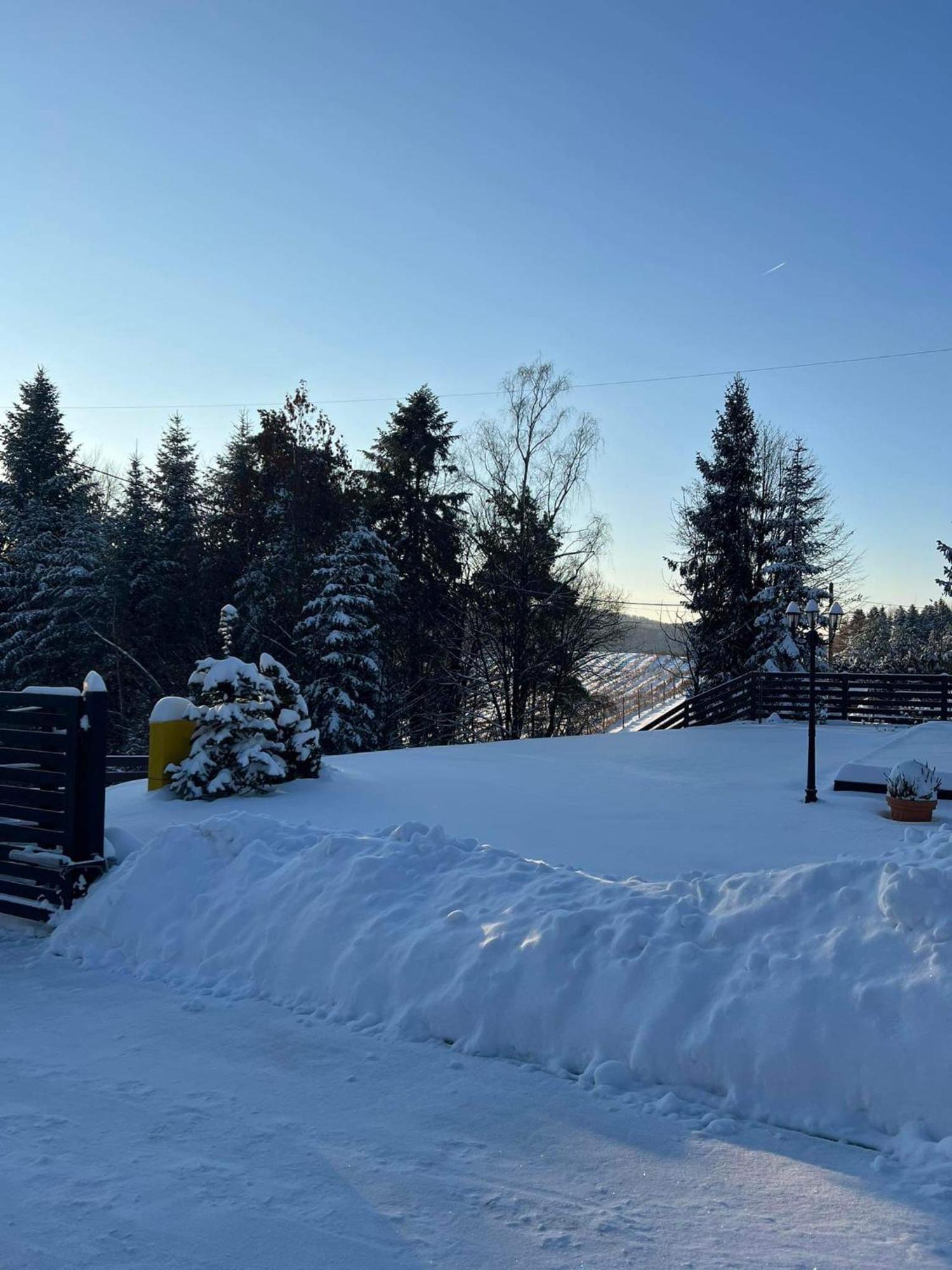 Apartamento Dom na Borówkowym Wzgórzu Palesnica Exterior foto