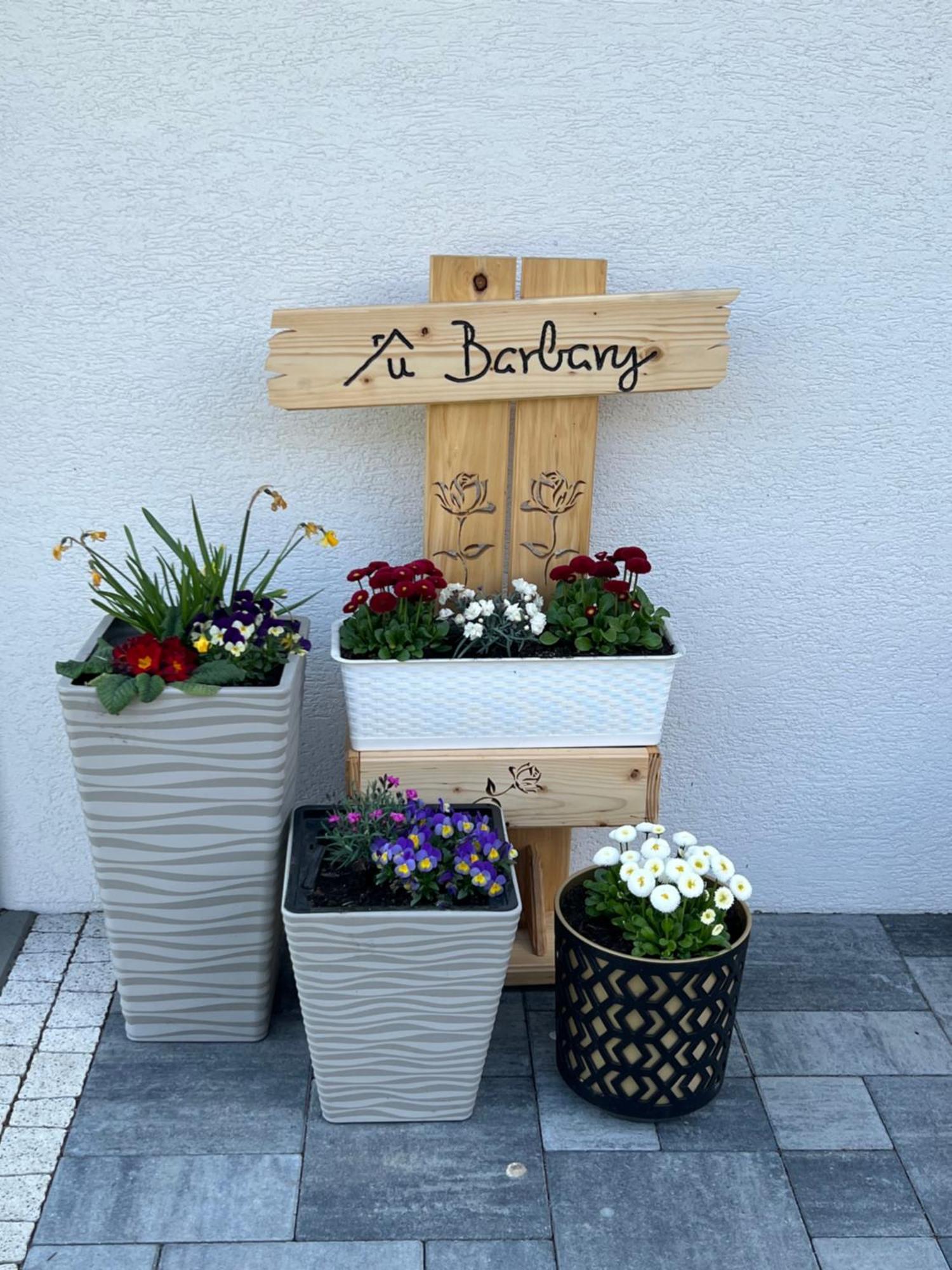 Apartamento Dom na Borówkowym Wzgórzu Palesnica Exterior foto